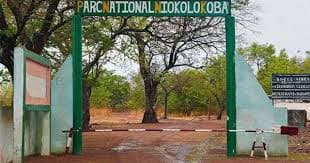 Parc National du Niokolo-Koba